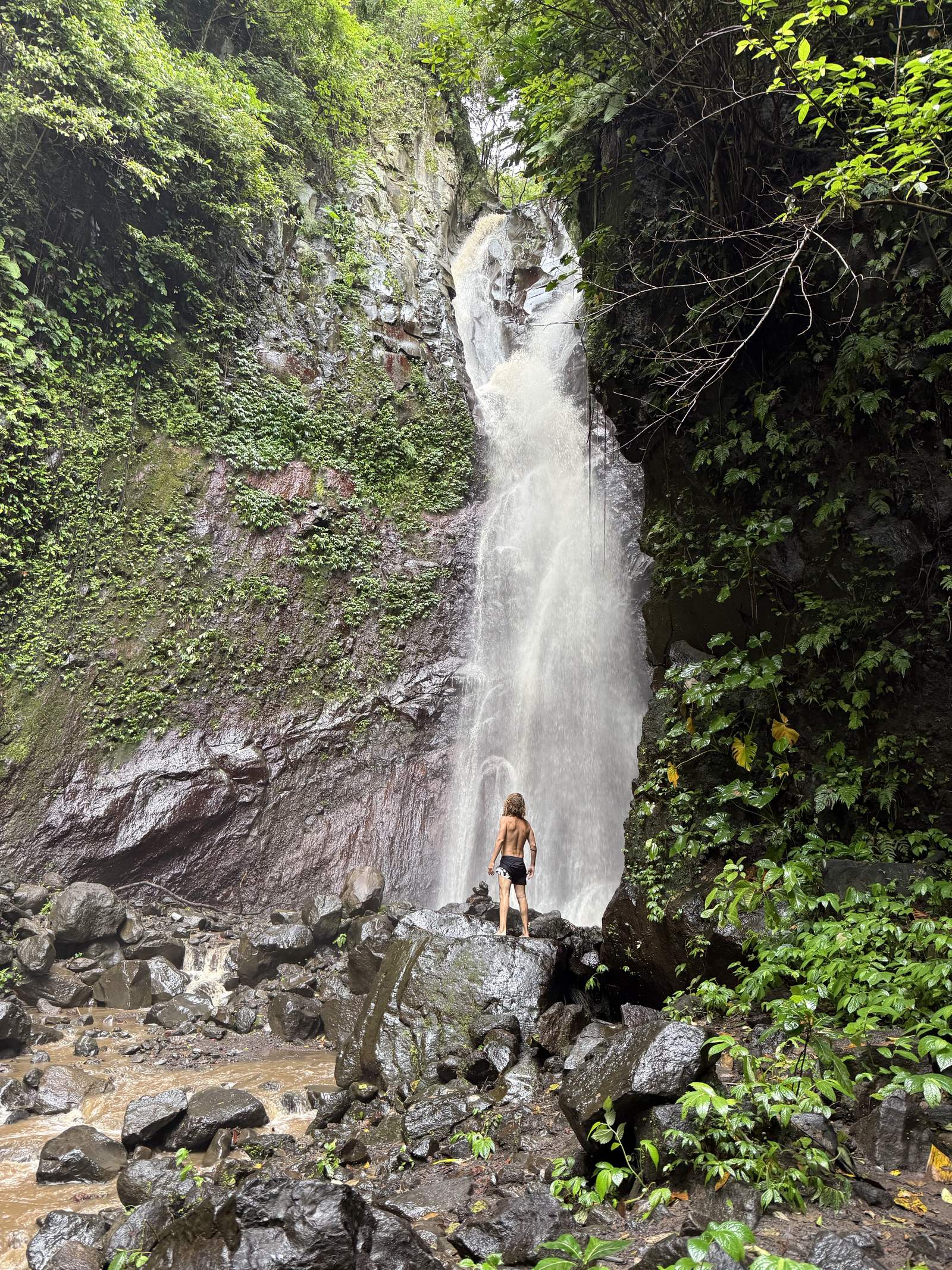 David in nature